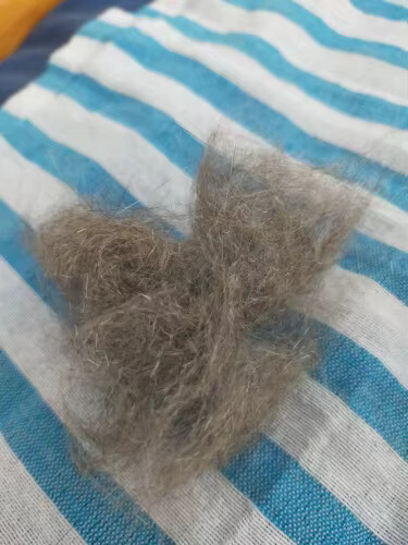 Brosse à chat | brosse à vapeur pour chat 21 Image #2 à partir de Bertrand