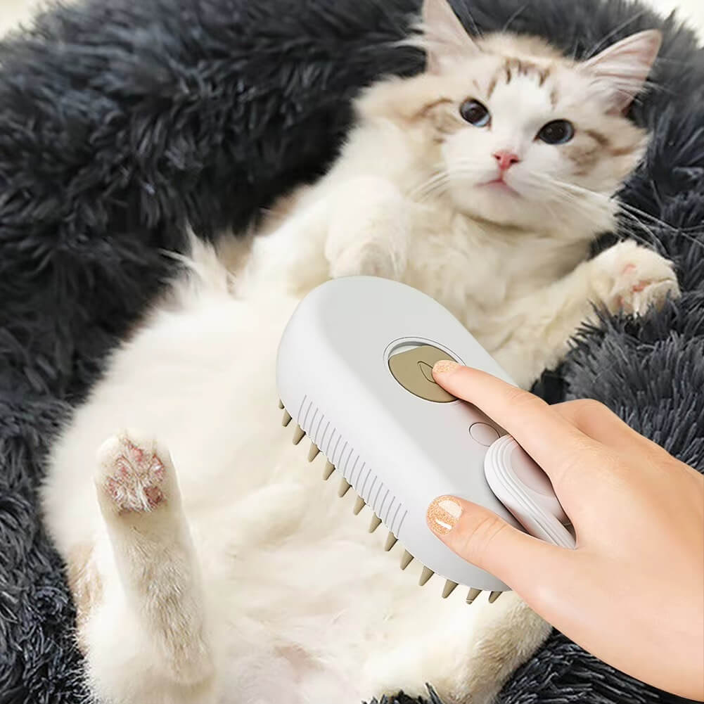 brosse a chat brosse blanche avec un chat blanc