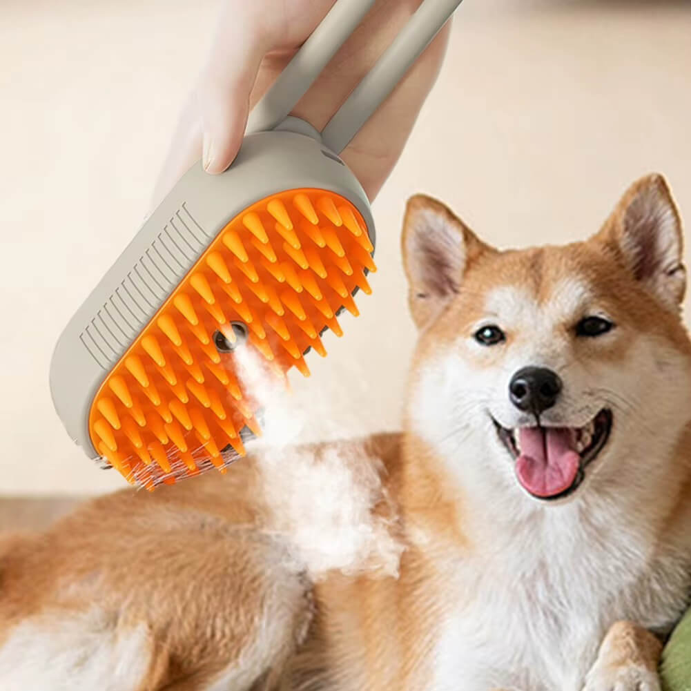 brosse a chat brosse brune avec la vapeur et un chien Shiba Inu