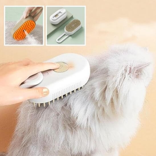 brosse à chat - chat blanc avec une brosse blanche