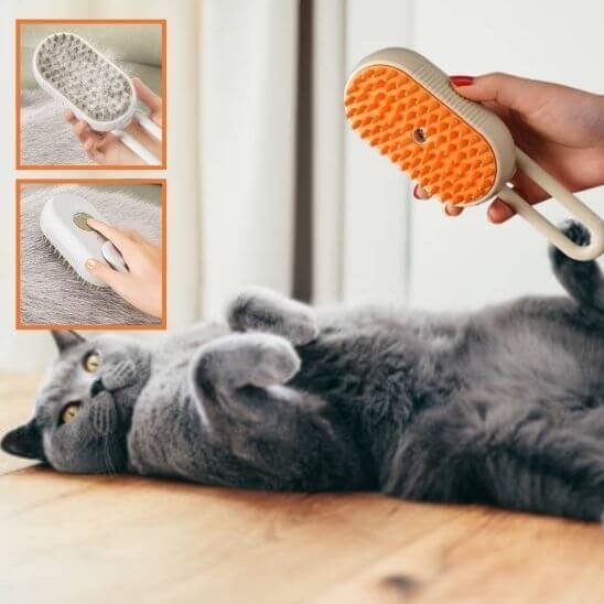 brosse à chat - chat gris allongé avec une brosse brune