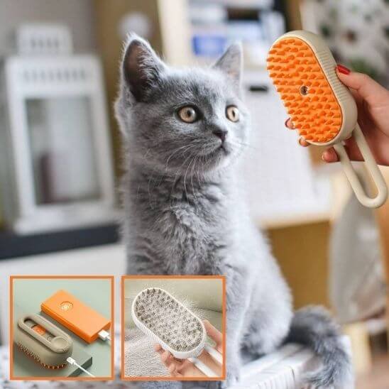 brosse à chat - chat gris avec une brosse brune