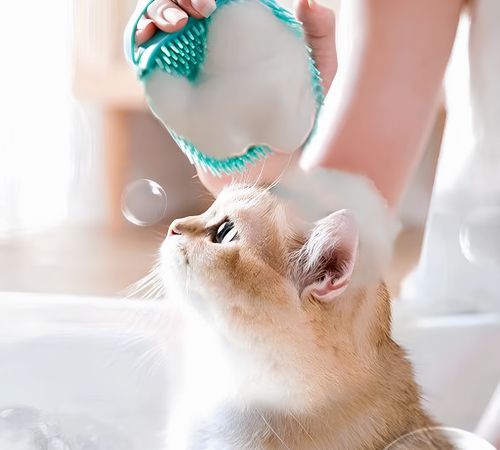 brosse pour chien hygiene impeccable sans effort