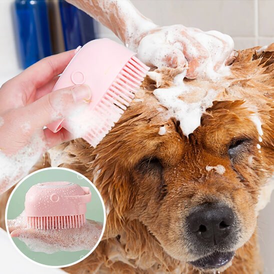 brosse pour chien - massage apaisant