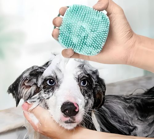 brosse pour chien seance bien etre