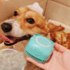 brosse pour chien - toilettage complet