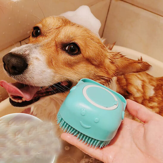 brosse pour chien - toilettage complet