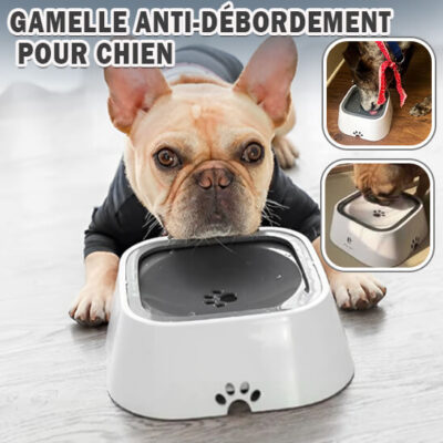 gamelle pour chien -anti-débordement