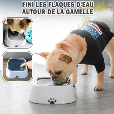 gamelle pour chien -fini les flaques d'eau autour de la gamelle