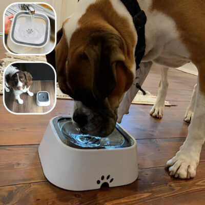 gamelle pour chien -un chien brun et blanc boit de l'eau