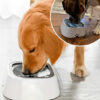 gamelle pour chien -un labrador brun boit de l'eau