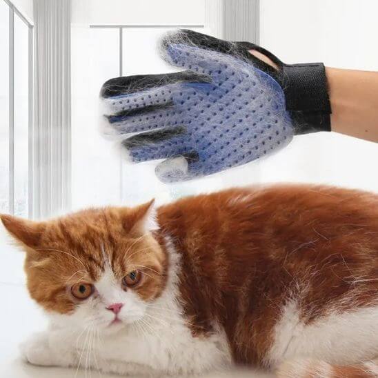 gant de toilettage - chat blanc et brun
