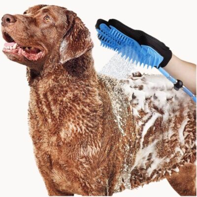 gant de toilettage - chien brun prenant un bain