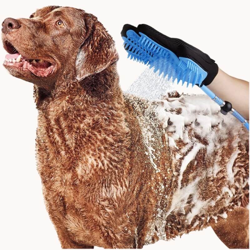 Gant de toilettage