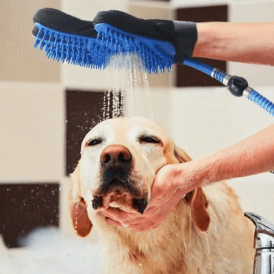 gant de toilettage - labrador prenant un bain avec pulvérisateur d'eau