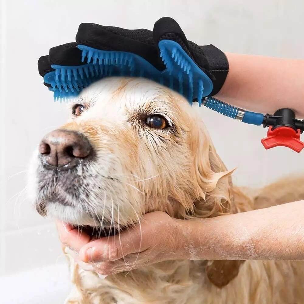 gant de toilettage - labrador prenant un bain