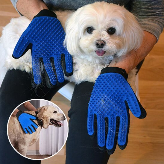 gant de toilettage - un chien caniche avec son propriétaire