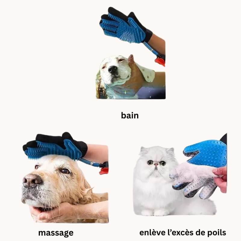 Bienfaits thérapeutiques gant de toilettage