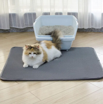 tapis chat litiÃ¨re - chat brun et blanc allongÃ© sur le tapis de litiÃ¨re gris