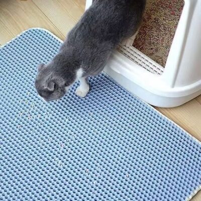 tapis chat litiÃ¨re - chat gris marche sur le tapis de litiÃ¨re bleu