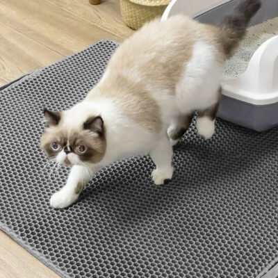 tapis chat litiÃ¨re - chat marche sur le tapis de litiÃ¨re gris