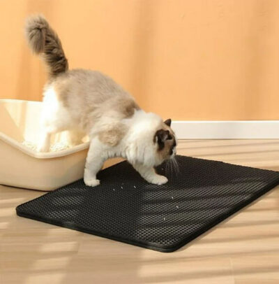 tapis chat litiÃ¨re - chat marche sur le tapis de litiÃ¨re noir