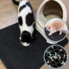 tapis chat litiÃ¨re - chat marche sur le tapis de litiÃ¨re noir avec des granulÃ©s