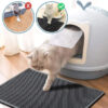 tapis chat litiÃ¨re - chat sort du bac Ã  litiÃ¨re et met la patte sur le tapis de litiÃ¨re gris