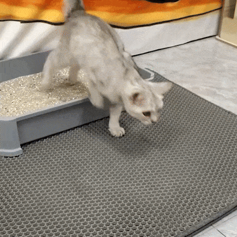 tapis chat litiere demonstration
