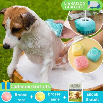 brosse pour chien - offre marketing avec des cadeaux gratuits et ebook et livraison gratuite