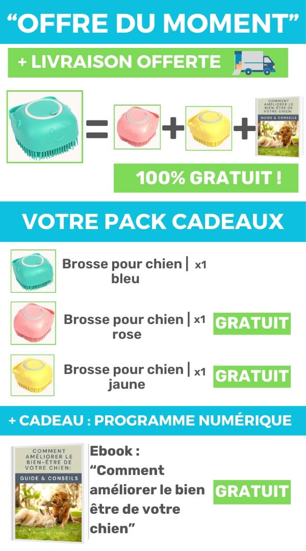 brosse pour chien - offre marketing avec des cadeaux gratuits et un ebook et la livraison gratuite