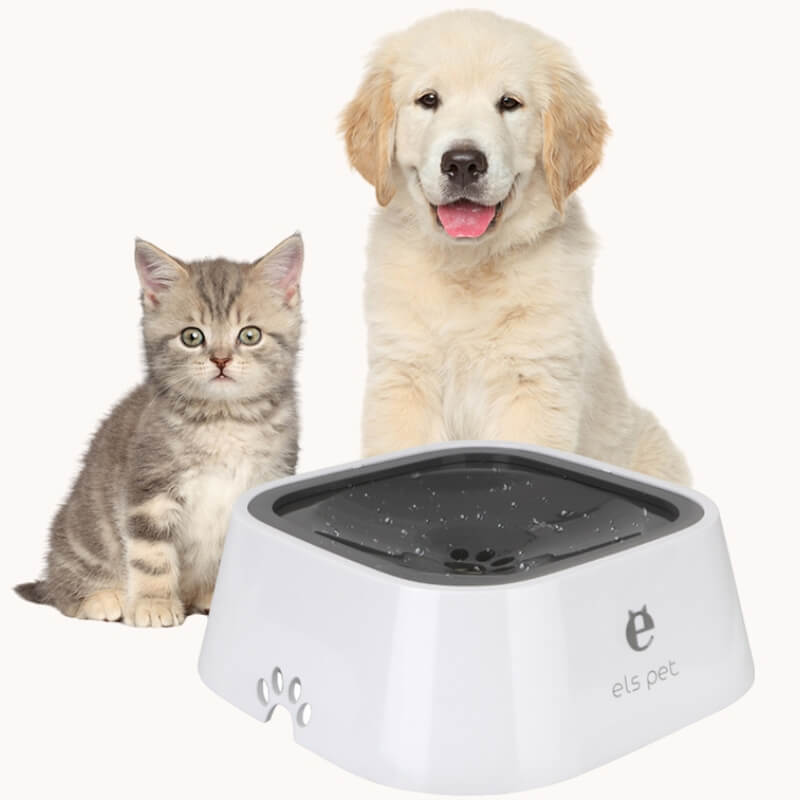 Gamelle transportable chien