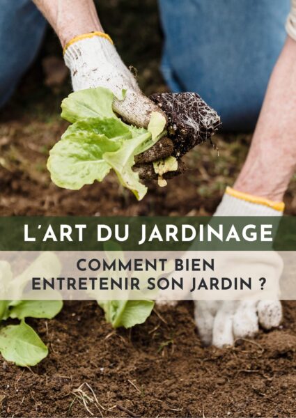 L'art du jardinage - comment bien entretenir son jardin ?