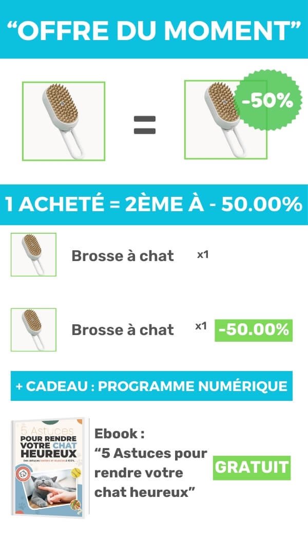 brosse à chat - offre marketing
